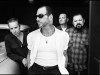 Social Distortion