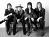 THE STRUTS